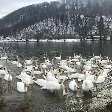 Blanca